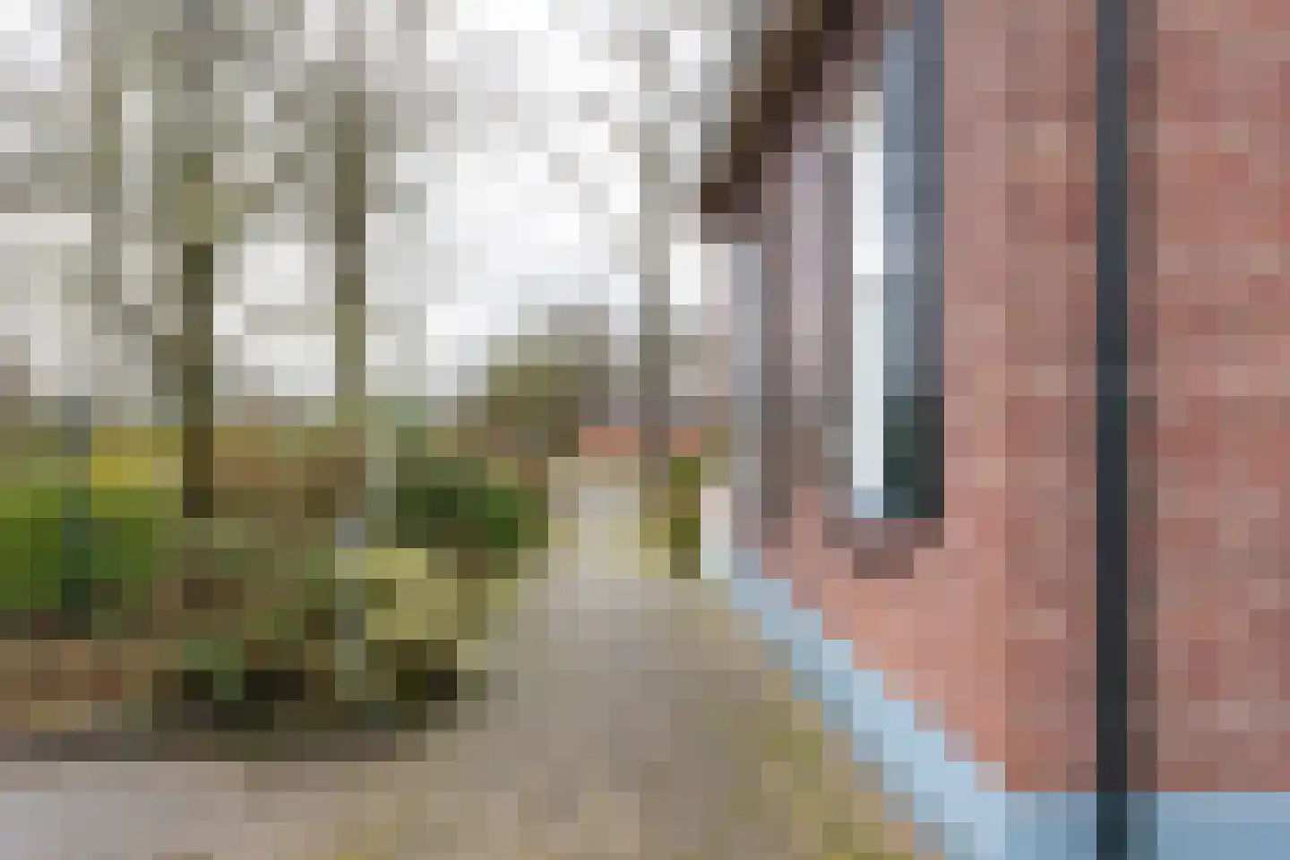 Hijinkhoekweg 25 Winterswijk Woold thumbnail 40