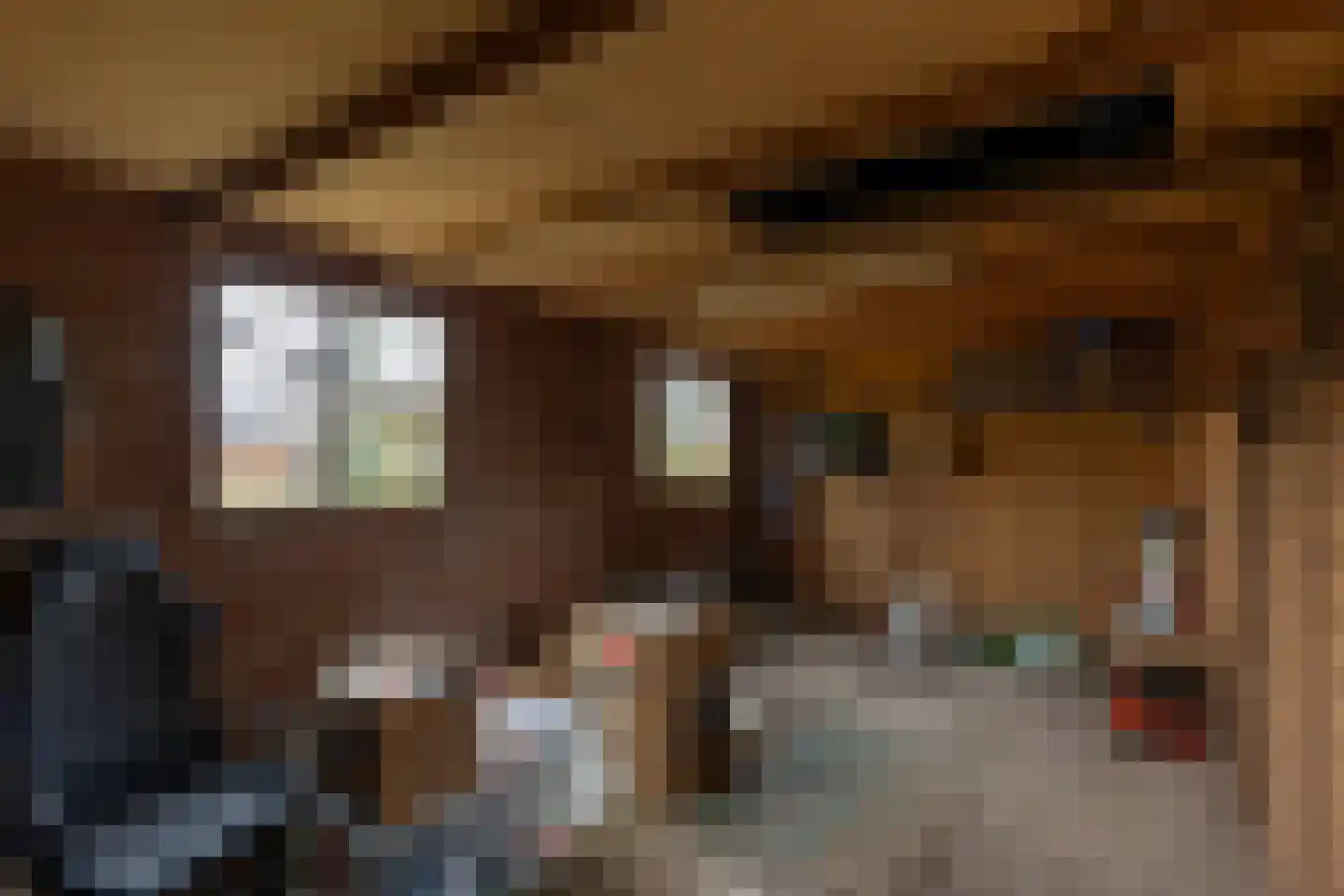 Hijinkhoekweg 25 Winterswijk Woold thumbnail 44