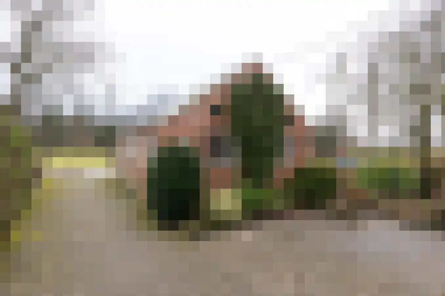 Hijinkhoekweg 25 Winterswijk Woold thumbnail 46