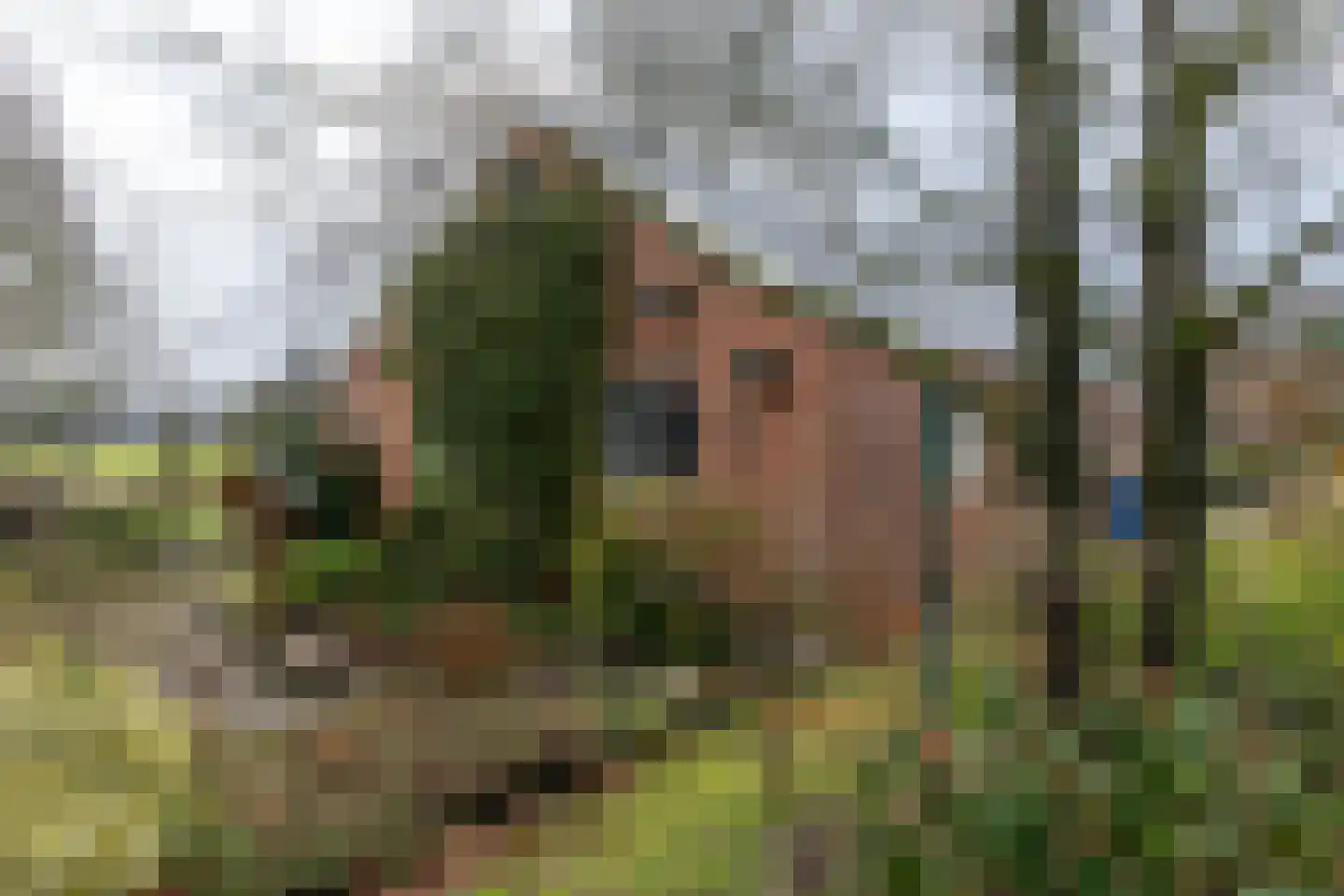 Hijinkhoekweg 25 Winterswijk Woold thumbnail 47