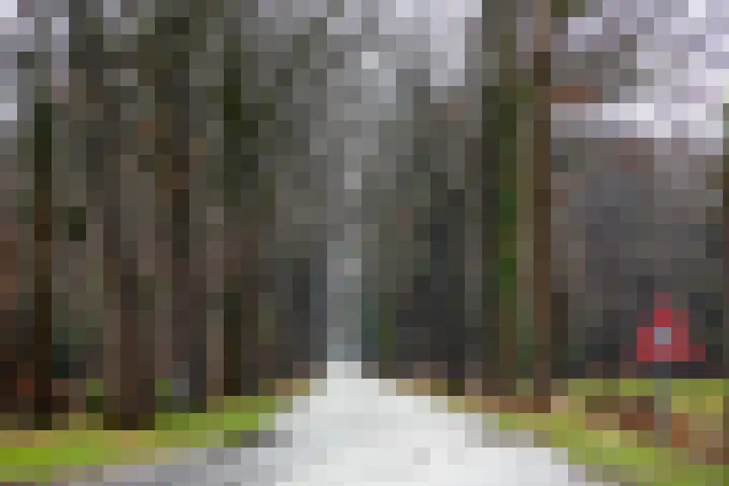 Hijinkhoekweg 25 Winterswijk Woold thumbnail 51