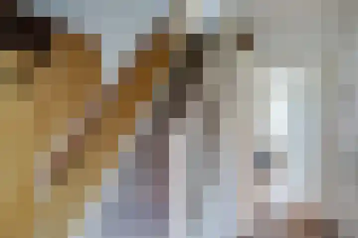 Hijkerweg 2 A Beilen thumbnail 22