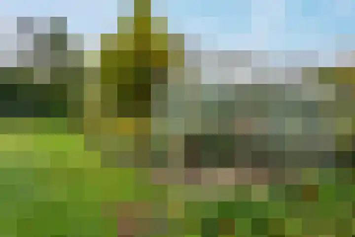 Hijkerweg 2 A Beilen thumbnail 33