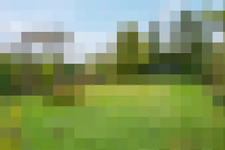 Hijkerweg 2 A Beilen thumbnail 34