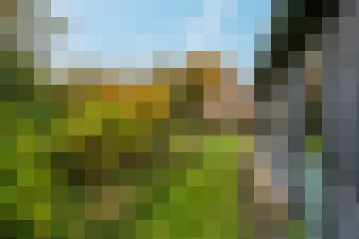 Hijkerweg 2 A Beilen thumbnail 35
