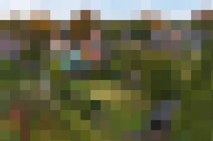 Hijkerweg 2 A Beilen thumbnail 4