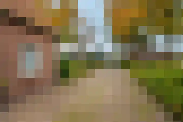 Hijkerweg 2 A Beilen thumbnail 40