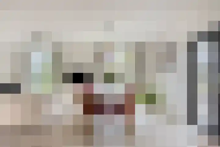 Hijlekamp 2 Mook thumbnail 10