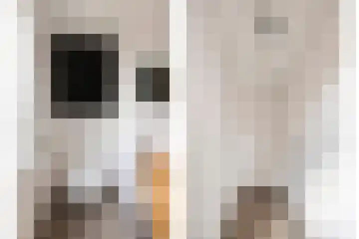 Hijlekamp 2 Mook thumbnail 21