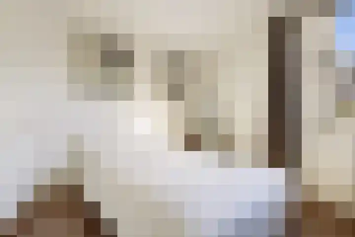 Hijlekamp 2 Mook thumbnail 27