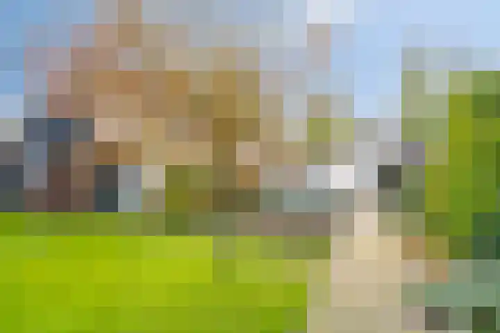 Hijlekamp 2 Mook foto 3
