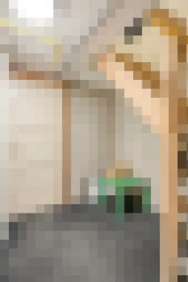 Hijlekamp 2 Mook thumbnail 41