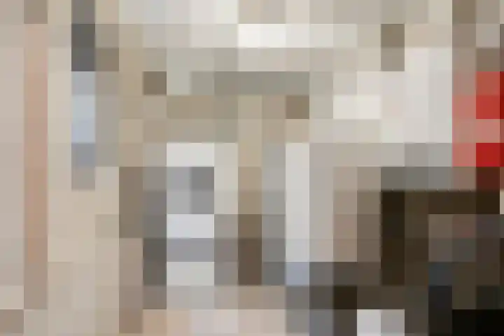 Hijlekamp 2 Mook thumbnail 46