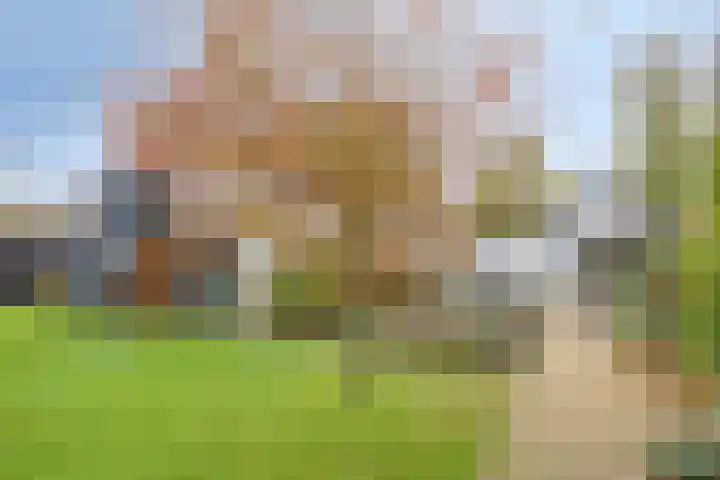Hijlekamp 2 Mook thumbnail 47