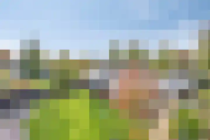 Hijlekamp 2 Mook thumbnail 48