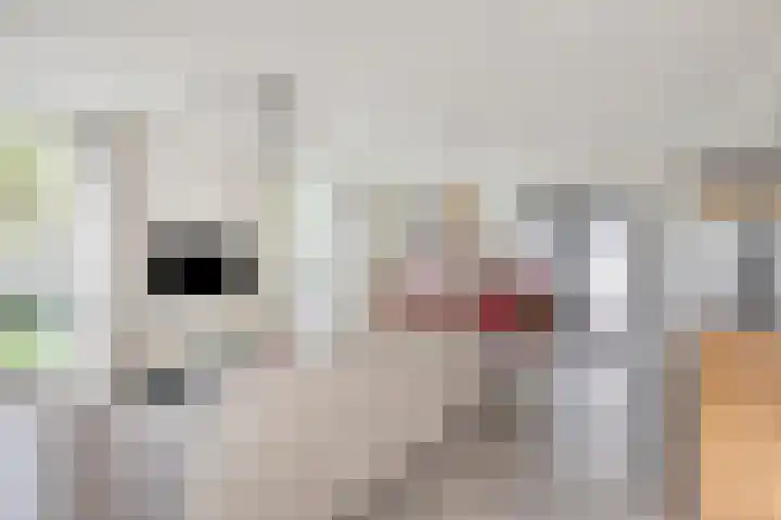 Hijlekamp 2 Mook thumbnail 5