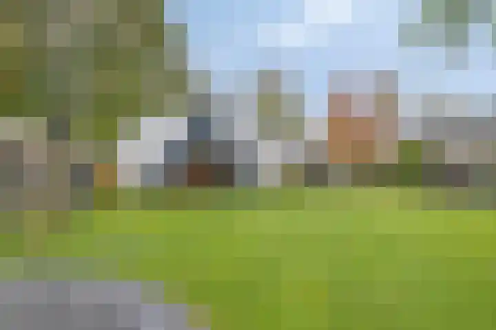 Hijlekamp 2 Mook thumbnail 50