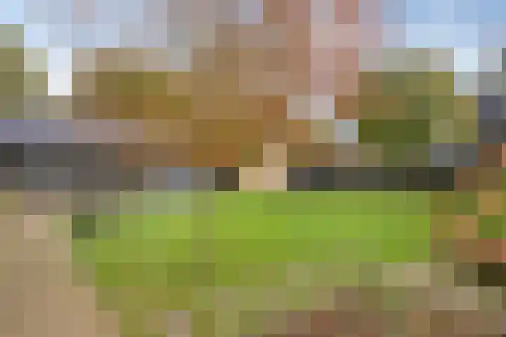 Hijlekamp 2 Mook thumbnail 52