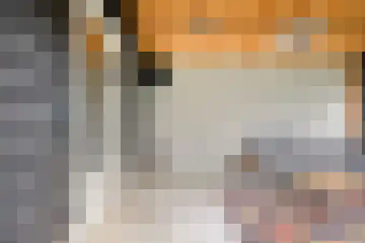 Hijlekamp 2 Mook thumbnail 55