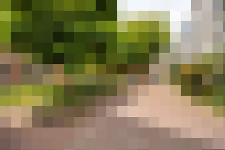 Hijlekamp 2 Mook thumbnail 6