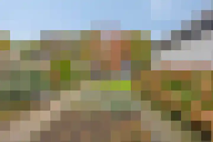 Hijlekamp 2 Mook thumbnail 60