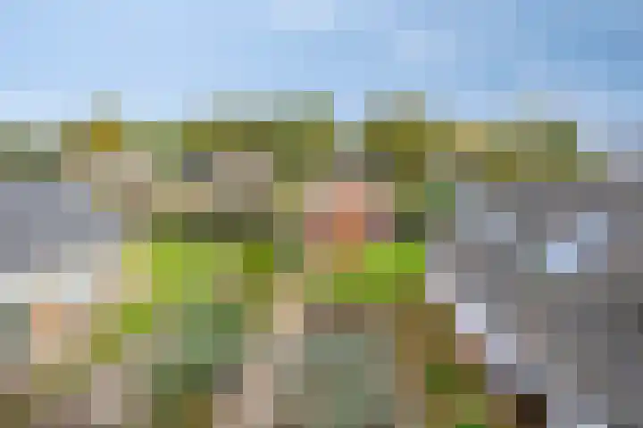 Hijlekamp 2 Mook thumbnail 62
