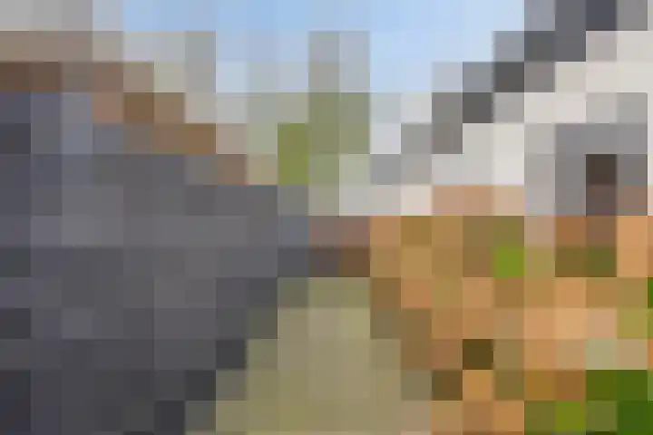 Hijlekamp 2 Mook thumbnail 64