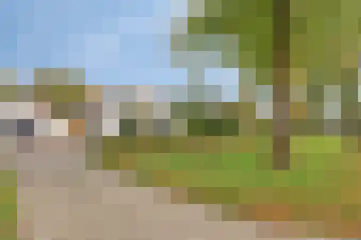 Hijlekamp 2 Mook thumbnail 66