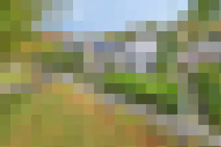 Hijlekamp 2 Mook thumbnail 67