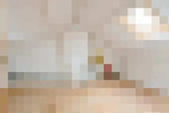 Hijlekamp 2 Mook thumbnail 7