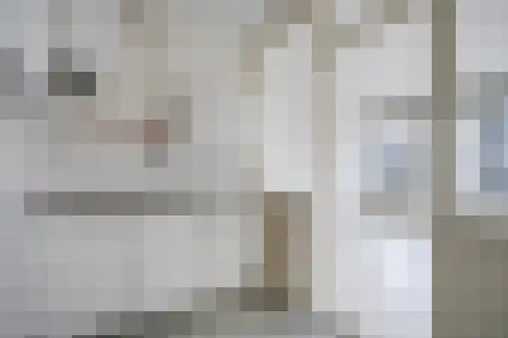 Hijmans van den Berghlaan 132 Utrecht thumbnail 11