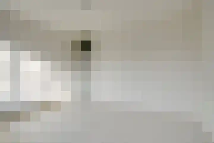 Hijmans van den Berghlaan 132 Utrecht thumbnail 13