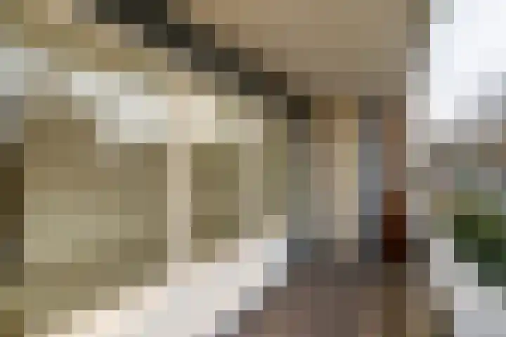 Hijmans van den Berghlaan 132 Utrecht thumbnail 14