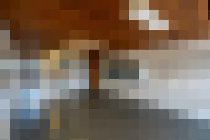 Hijmans van den Berghlaan 132 Utrecht thumbnail 22