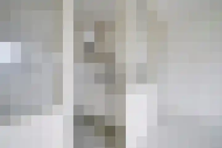 Hijmans van den Berghlaan 132 Utrecht thumbnail 9