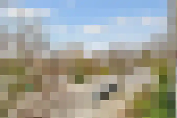 Hijmans van den Berghlaan 138 Utrecht thumbnail 19