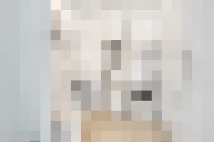 Hijmans van den Berghlaan 138 Utrecht thumbnail 20