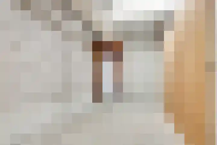 Hijmans van den Berghlaan 138 Utrecht thumbnail 23