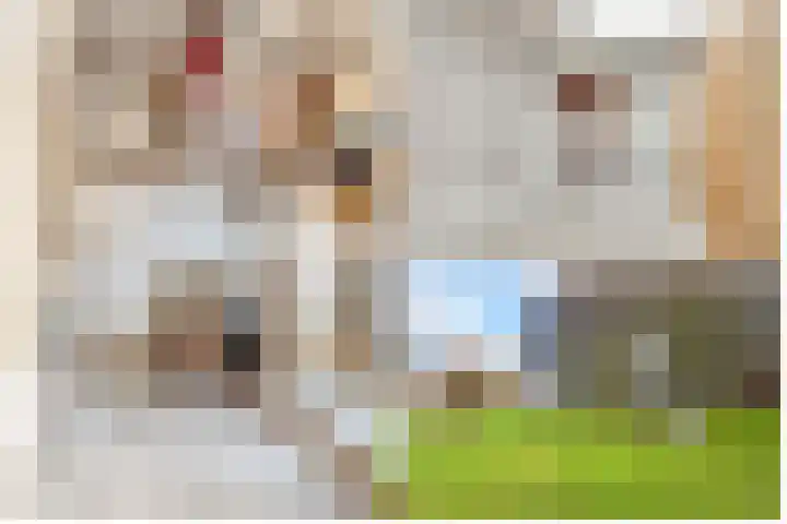 Hijmans van den Berghlaan 138 Utrecht thumbnail 25