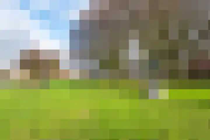 Hijmans van den Berghlaan 138 Utrecht thumbnail 30
