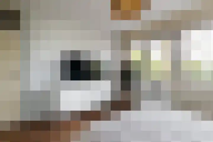 Hijmans van den Berghlaan 148 Utrecht thumbnail 11