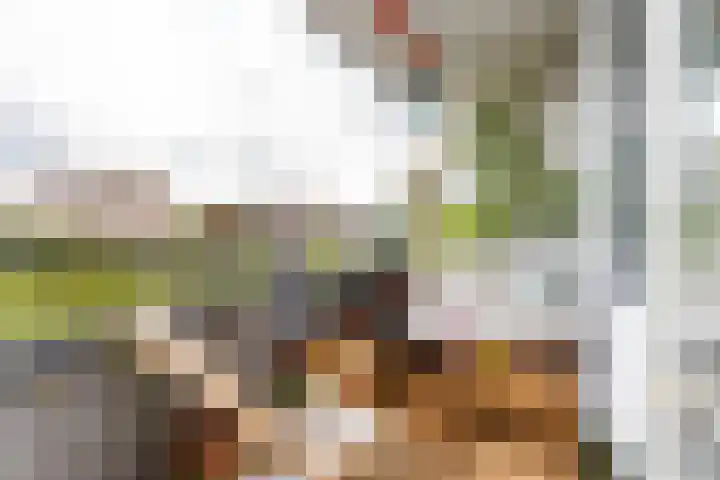 Hijmans van den Berghlaan 148 Utrecht thumbnail 6