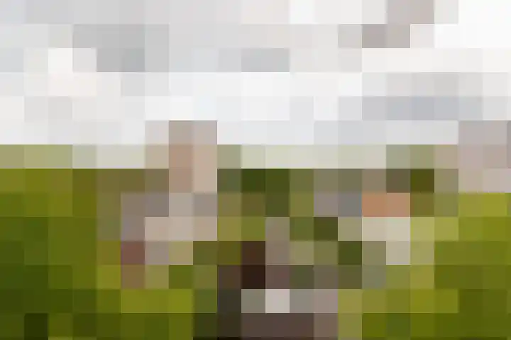 Hijmans van den Berghlaan 148 Utrecht thumbnail 7