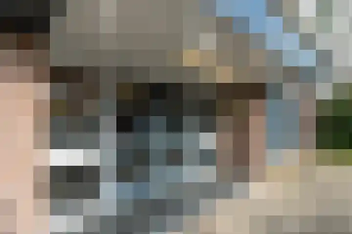 Hijmans van den Berghlaan 156 Utrecht thumbnail 20