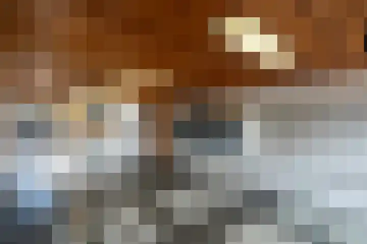 Hijmans van den Berghlaan 156 Utrecht thumbnail 21
