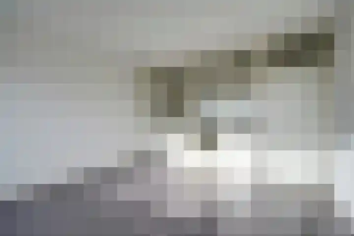 Hijmans van den Berghlaan 156 Utrecht thumbnail 6