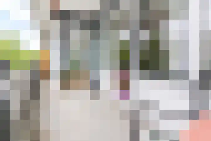 Hijmans van den Berghlaan 224 Utrecht thumbnail 11
