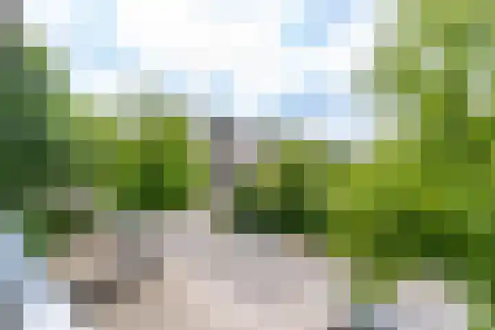 Hijmans van den Berghlaan 224 Utrecht thumbnail 12