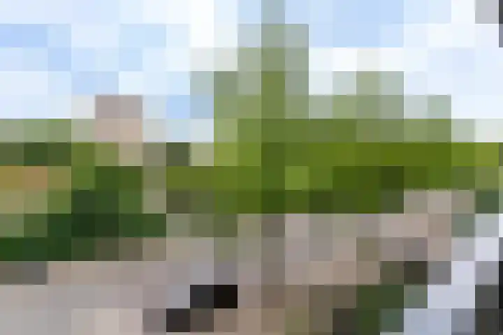 Hijmans van den Berghlaan 224 Utrecht thumbnail 13