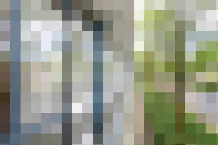 Hijmans van den Berghlaan 224 Utrecht thumbnail 28